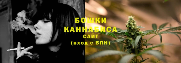 прущие грибы Покров
