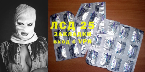 ПСИЛОЦИБИНОВЫЕ ГРИБЫ Губаха