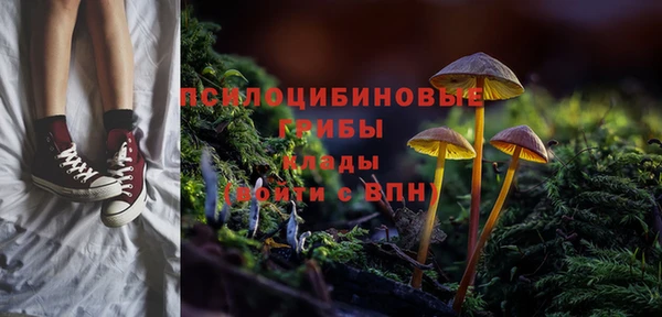 прущие грибы Покров
