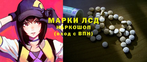 прущие грибы Покров