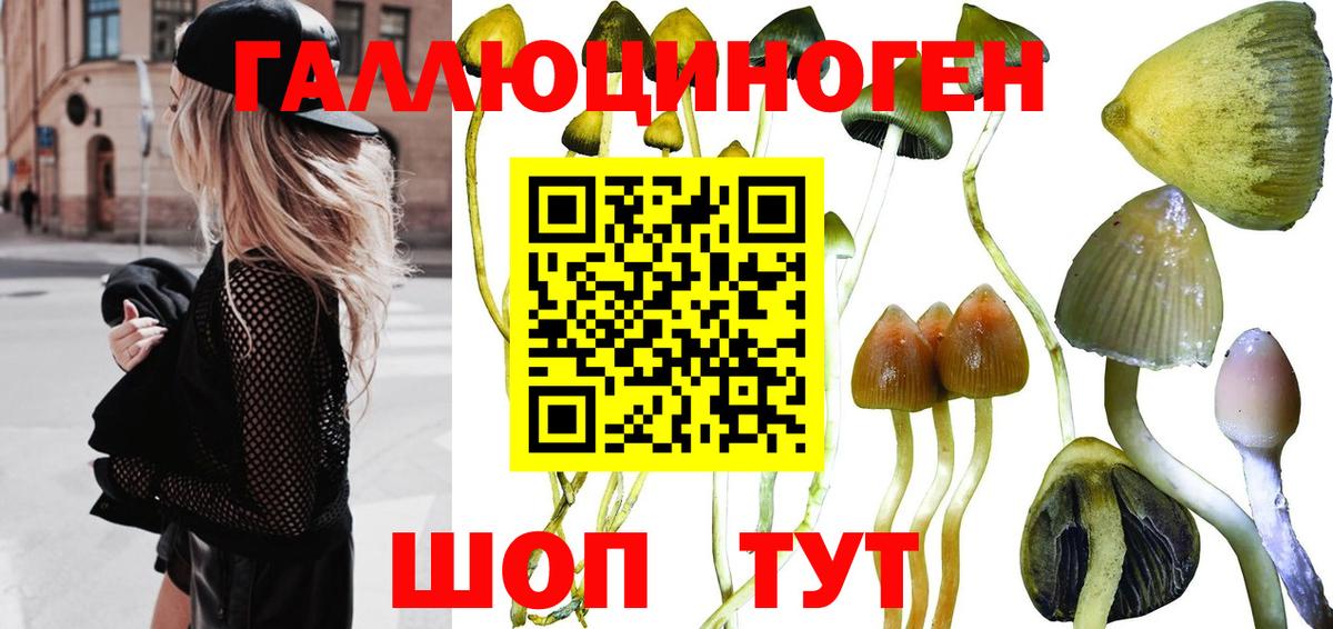 Галлюциногенные грибы GOLDEN TEACHER  Вход с VPN  Стрежевой 